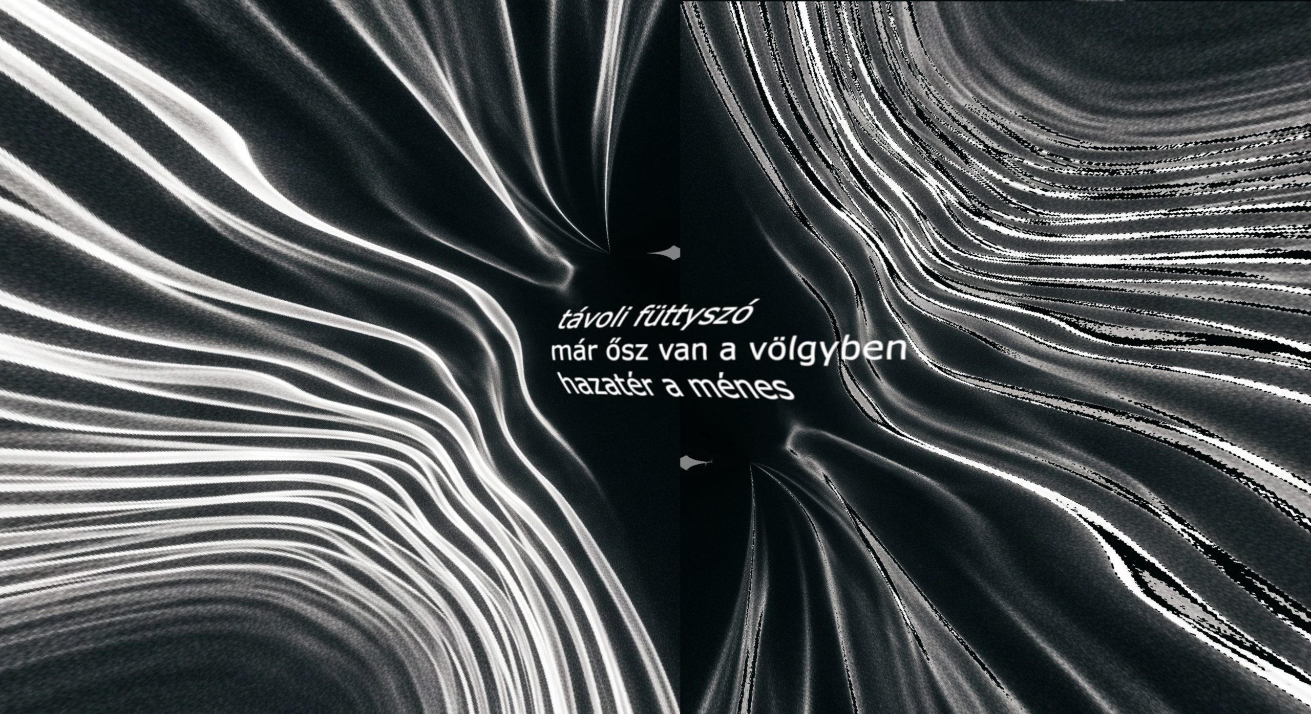 Erdei Péter: Hanghullám (2.) (haiga)