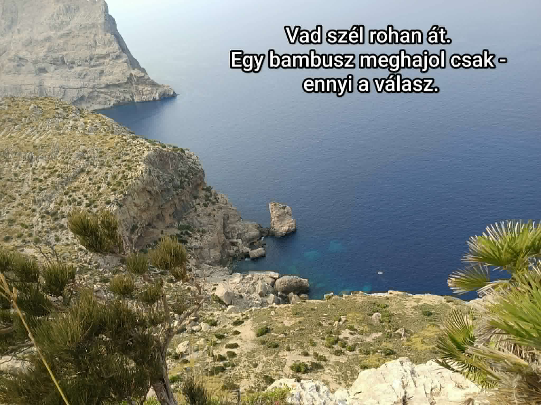 Nagy Csaba: Vad szél (haiga)